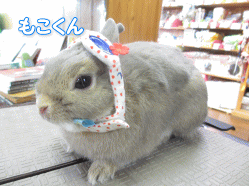 140331a.gif