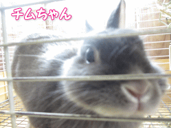 140331c.gif