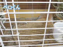 140331e.gif