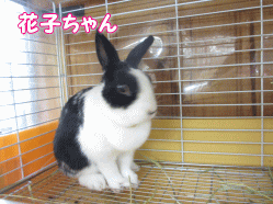 140331g.gif