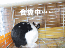 140331h.gif