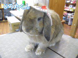 140401a.gif