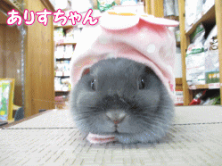 140401c.gif