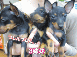 140403b.gif