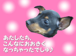140403d.gif