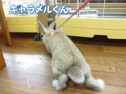 140403e.gif