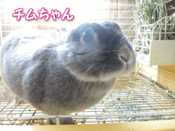 140403i.gif