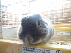 140403j.gif