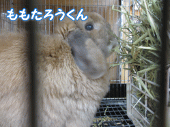 140403k.gif
