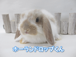 140403o.gif
