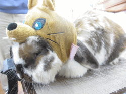 140405b.gif