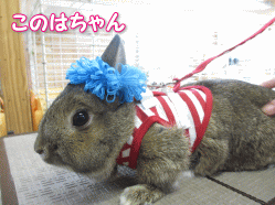 140405g.gif