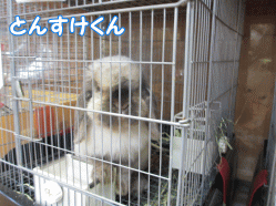 140405k.gif