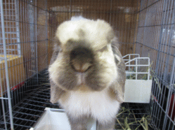 140405l.gif