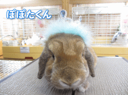 140410a.gif