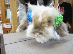 140410f.gif