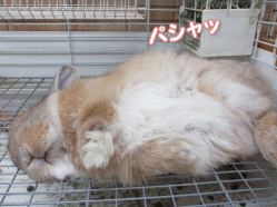 140410g.gif