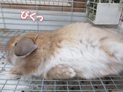 140410h.gif