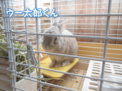 140411e.gif