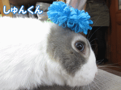 140412f.gif
