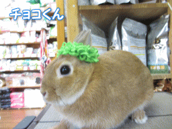 140413a.gif
