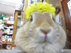 140413h.gif