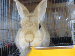 140417d.gif