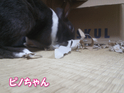 140417g.gif