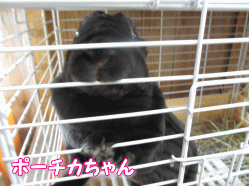 140418g.gif