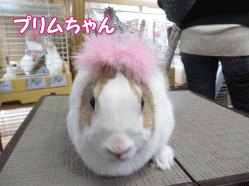 140419a.gif