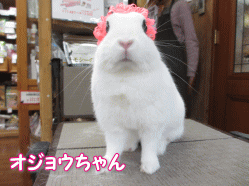 140419g.gif