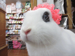 140419h.gif