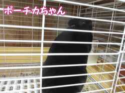 140419k.gif
