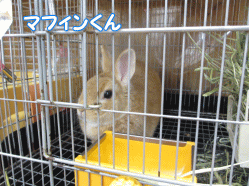 140420a.gif