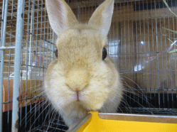 140420b.gif