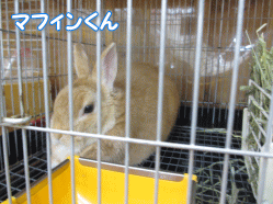 140421i.gif
