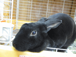 140422h.gif
