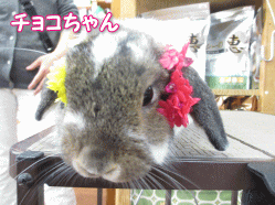 140424a.gif