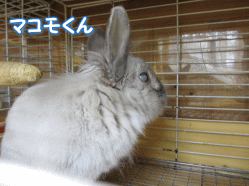 140424e.gif