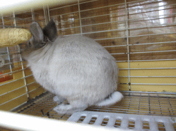 140424f.gif