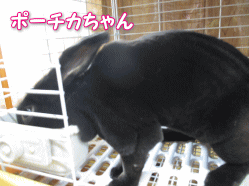 140424g.gif