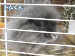 140426a.gif