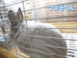 140426c.gif