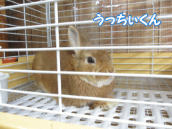 140426e.gif