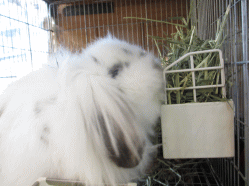 140426h.gif