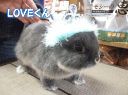 140426k.gif