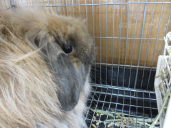 140427b.gif
