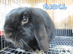 140427e.gif