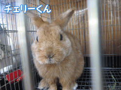 140427i.gif
