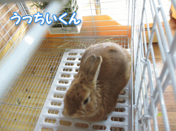 140427k.gif
